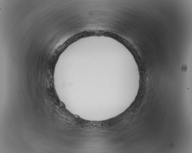 X0000114410871200911131426