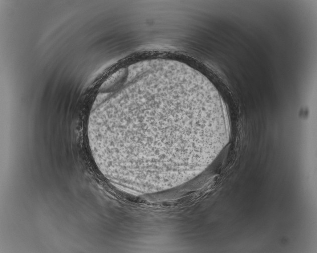 X0000114410872200911131426