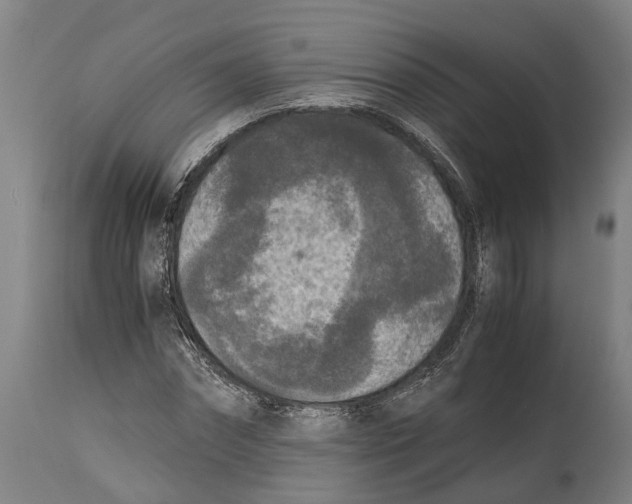 X0000114410874200911131426