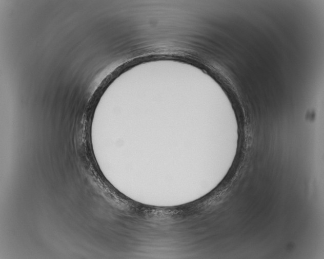 X0000114410875200911131426