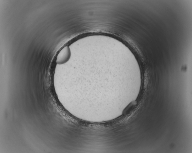 X0000114410876200911131426