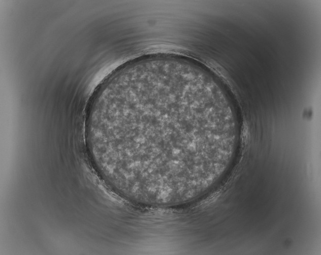 X0000114410877200911131426