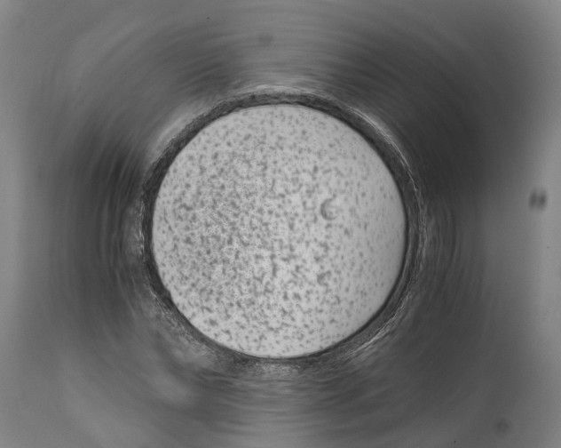 X0000114410878200911131426