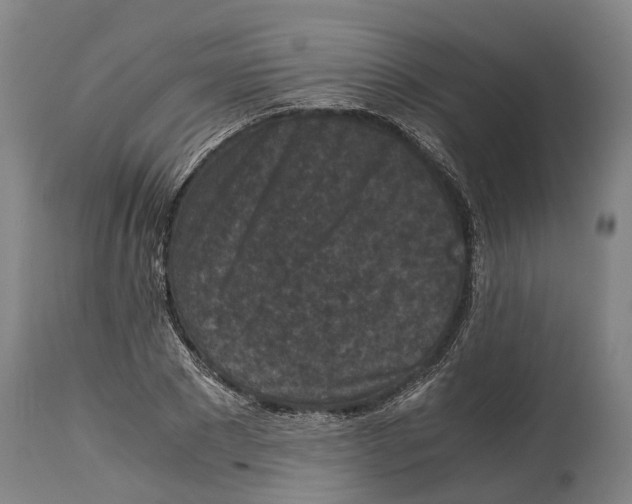 X0000114410881200911131426