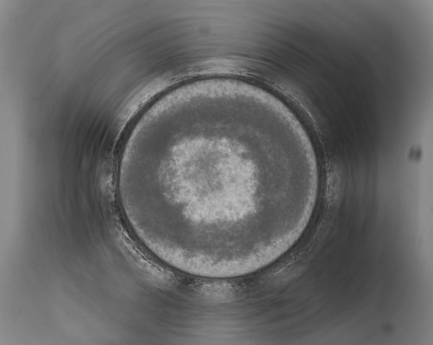 X0000114410882200911131426