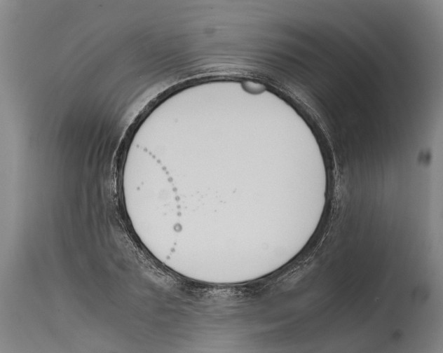 X0000114410883200911131426