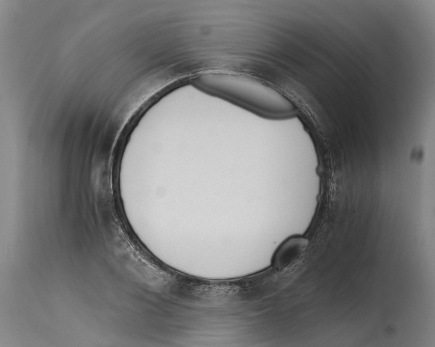 X0000114410884200911131426