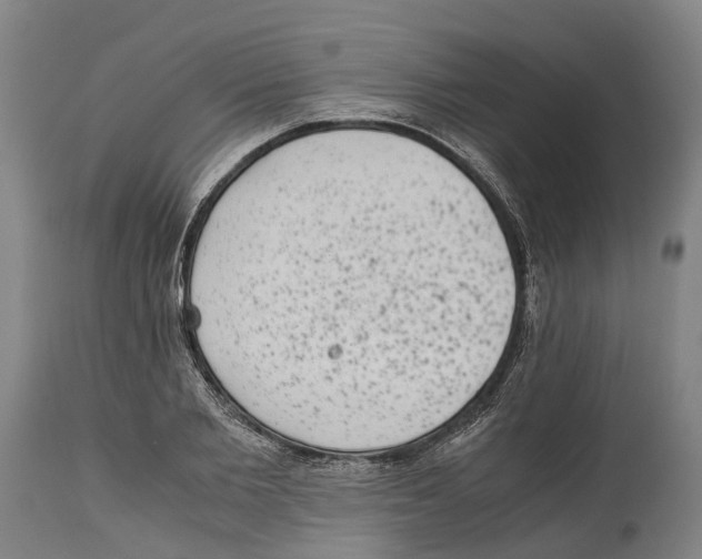 X0000114410885200911131426