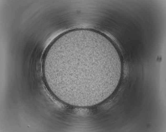 X0000114410886200911131426