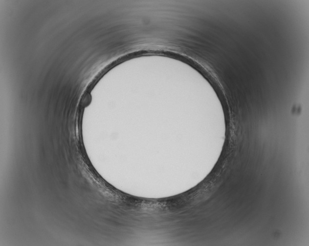 X0000114410887200911131426