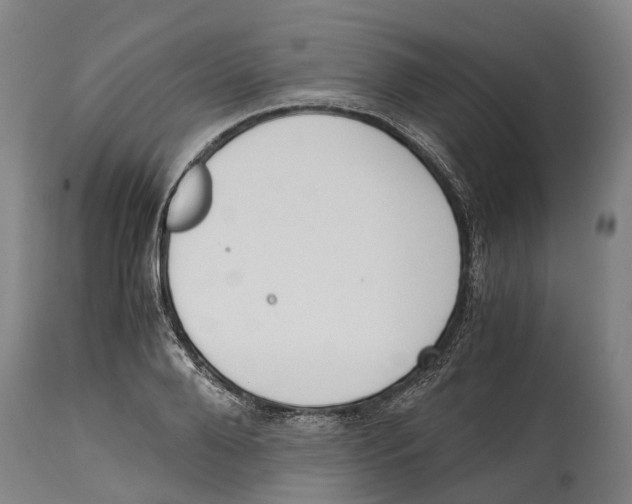 X0000114410888200911131426