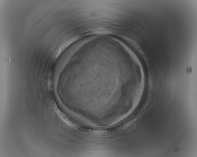 X0000114410889200911131426