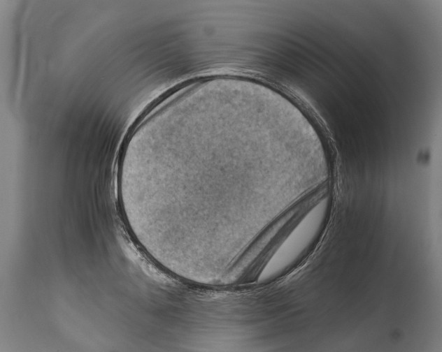 X0000114410892200911131426