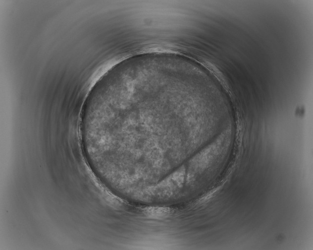 X0000114410893200911131426