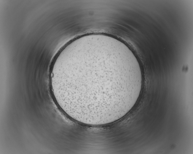 X0000114410894200911131425