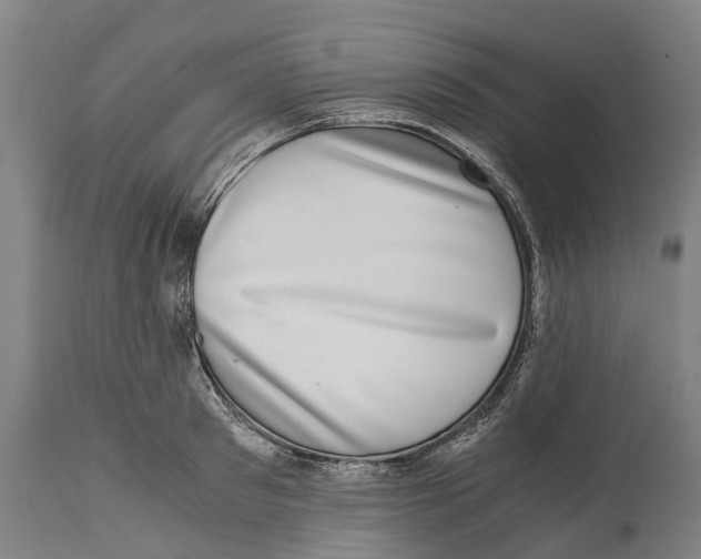 X0000114410897200911131425