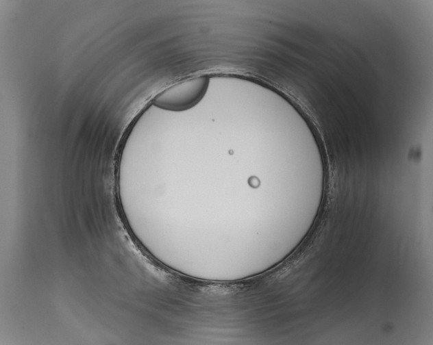 X0000114410898200911131425