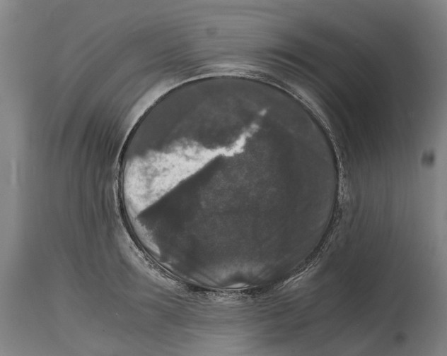 X0000114410899200911131425