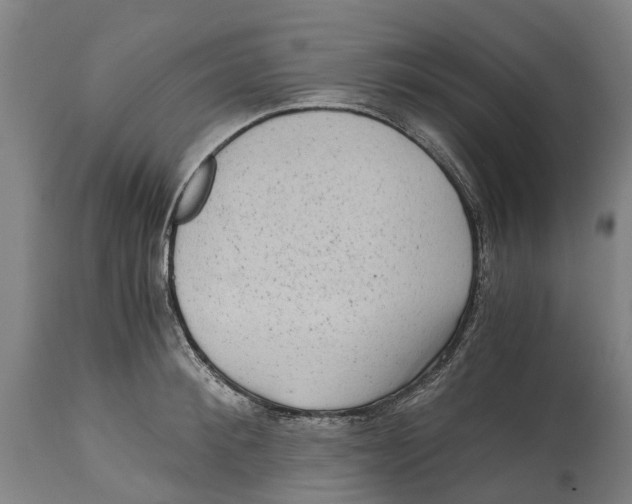 X0000114410900200911131425