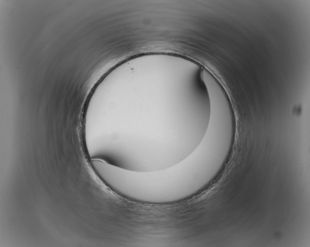 X0000114410901200911131425