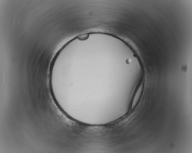 X0000114410902200911131425