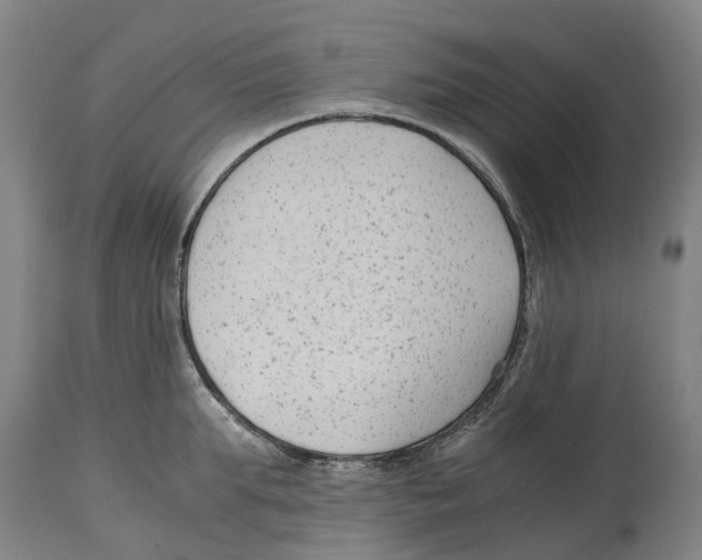 X0000114410903200911131425