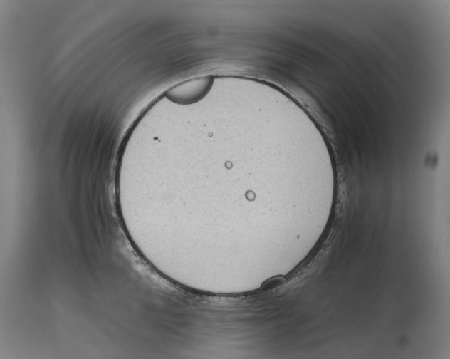 X0000114410904200911131425