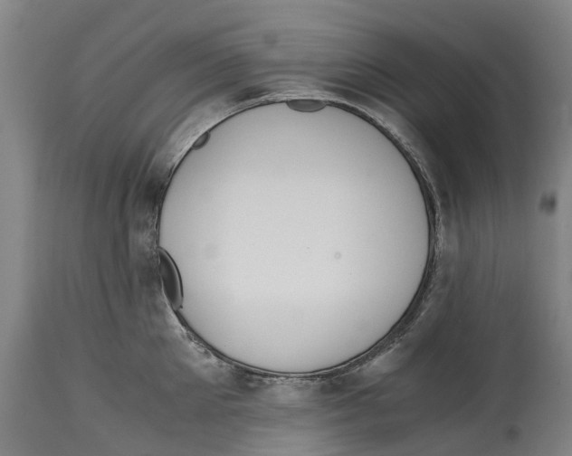 X0000114410905200911131425