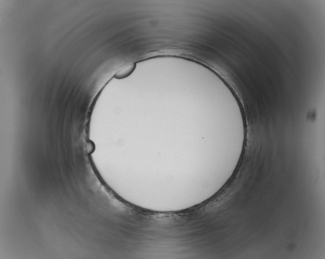 X0000114410906200911131425