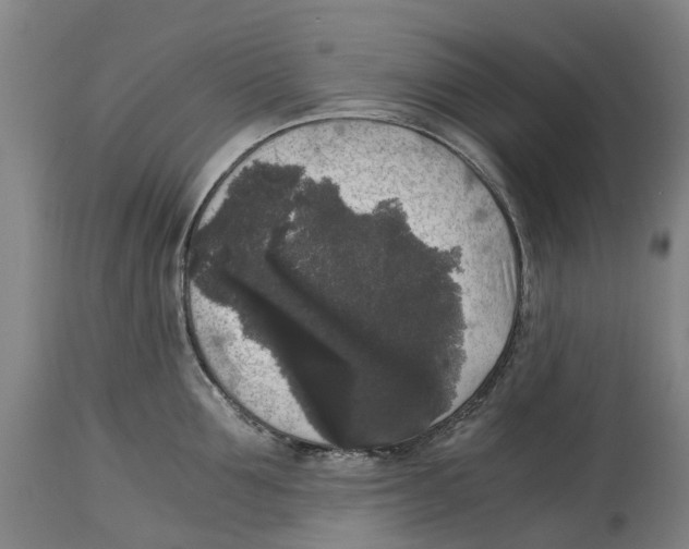 X0000114410907200911131425