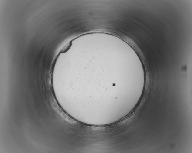 X0000114410908200911131425