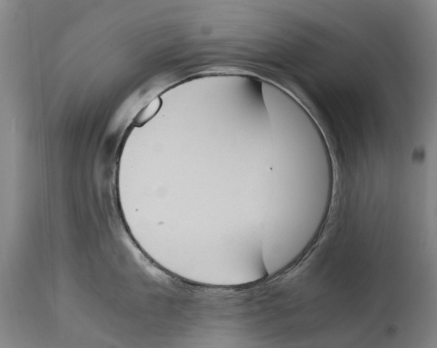 X0000114410909200911131425