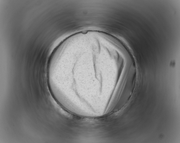 X0000114410910200911131425