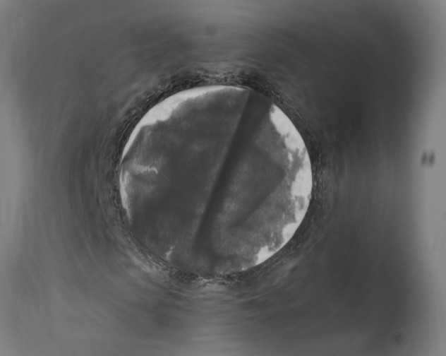 X0000114410913200911131424