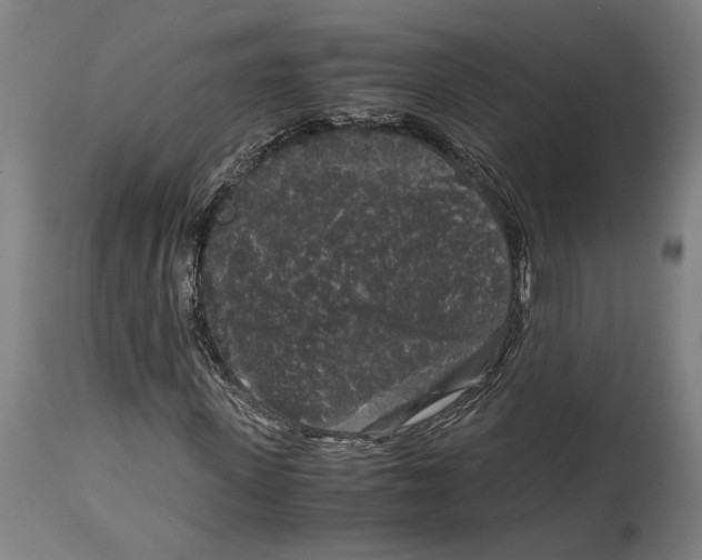 X0000114410915200911131424