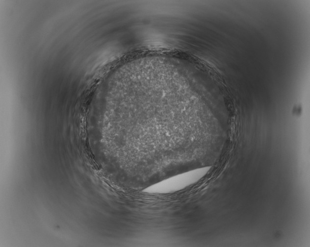 X0000114410917200911131425