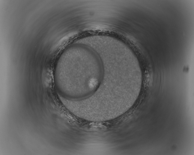 X0000114410918200911131425