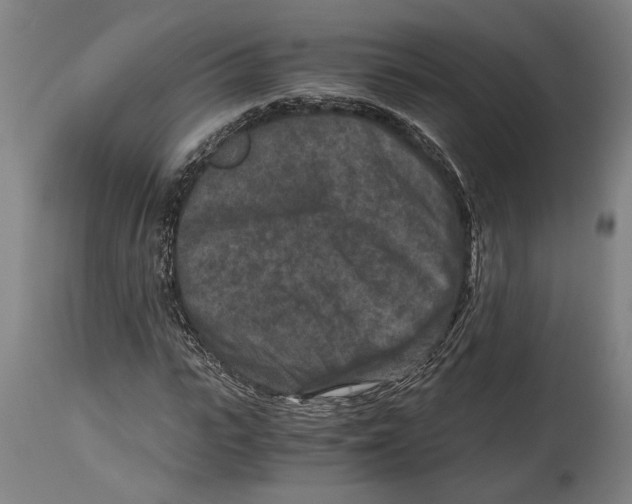 X0000114410919200911131425