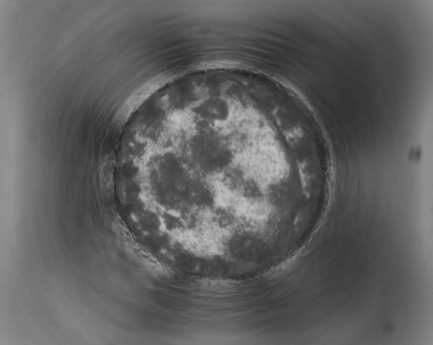 X0000114410921200911131425