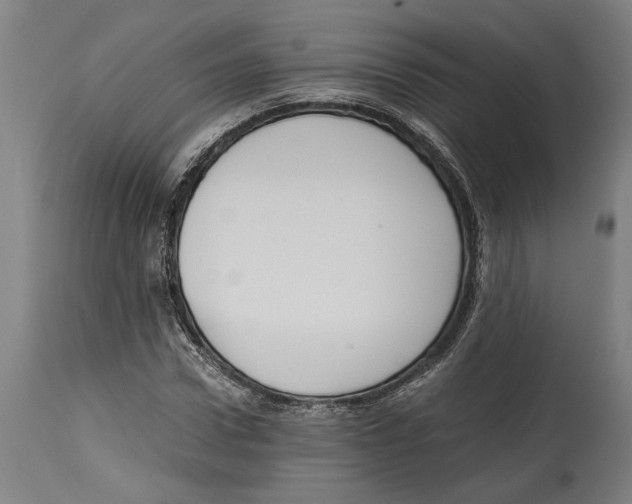 X0000114410922200911131425