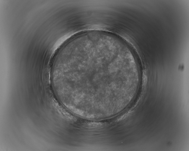 X0000114410925200911131425