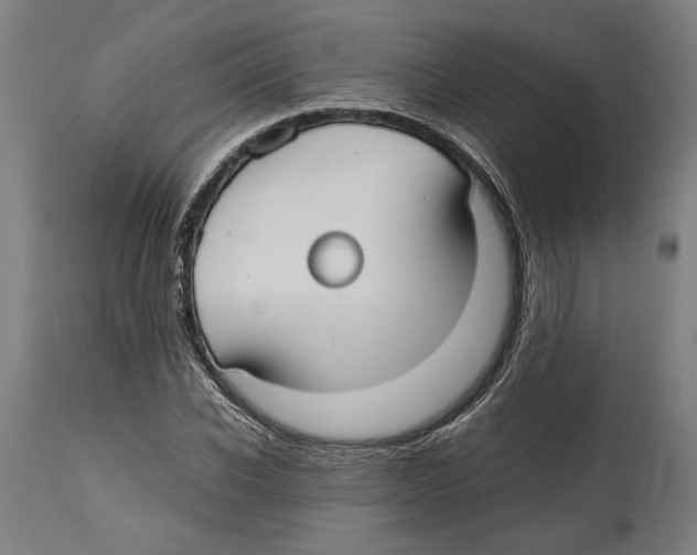 X0000114410926200911131425