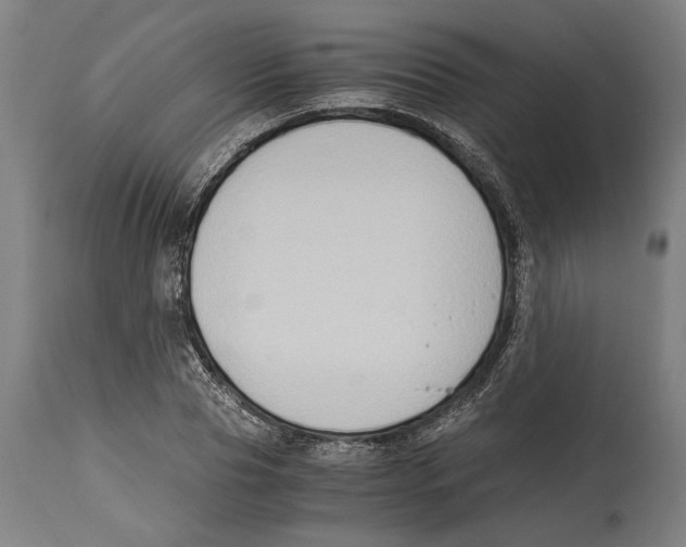 X0000114410929200911131425