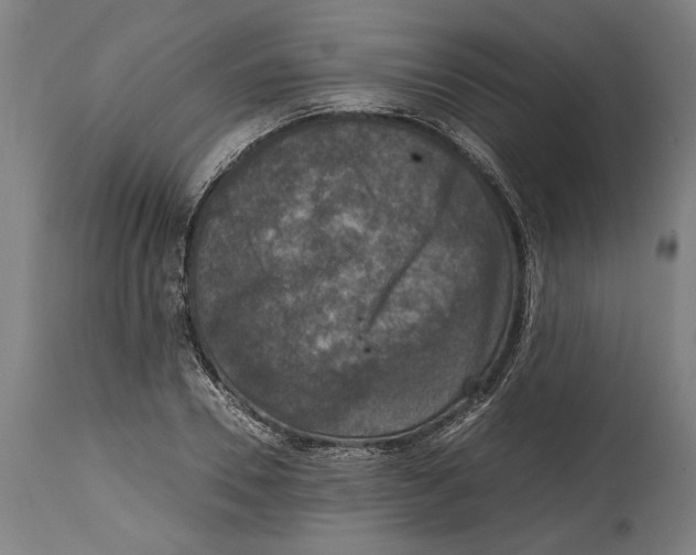 X0000114410930200911131425