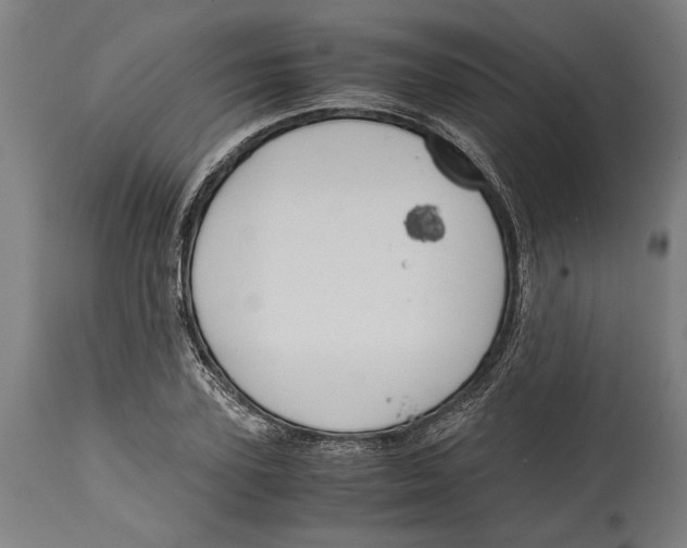 X0000114410931200911131425