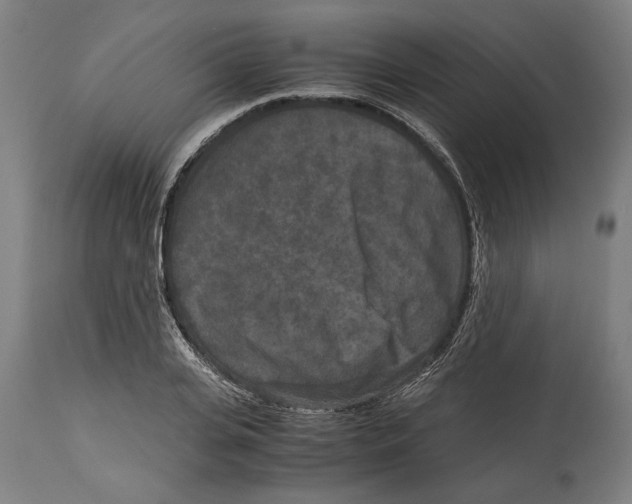 X0000114410935200911131425