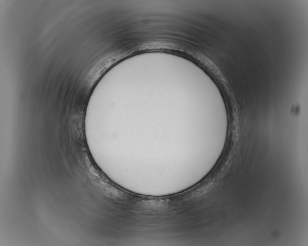 X0000114410937200911131425