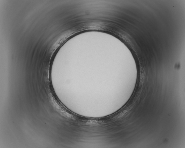 X0000114410938200911131425