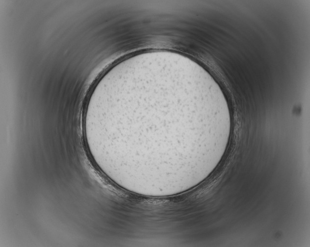 X0000114410939200911131425