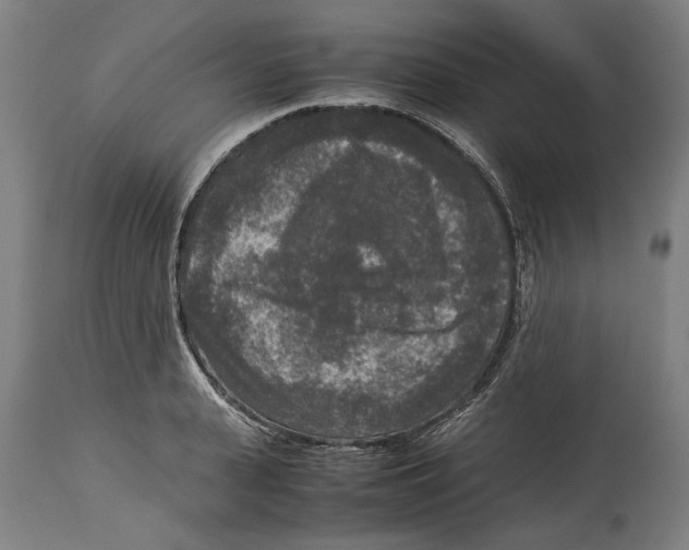 X0000114410943200911131425